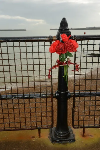 DSC_1281 (Large).JPG